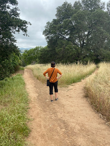 Misty, with her hands on her hips, faces two different paths on a dirt road, surrounded by tall grass and trees.